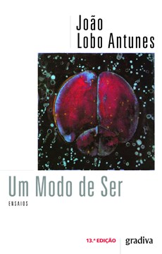 UM MODO DE SER - Ebook